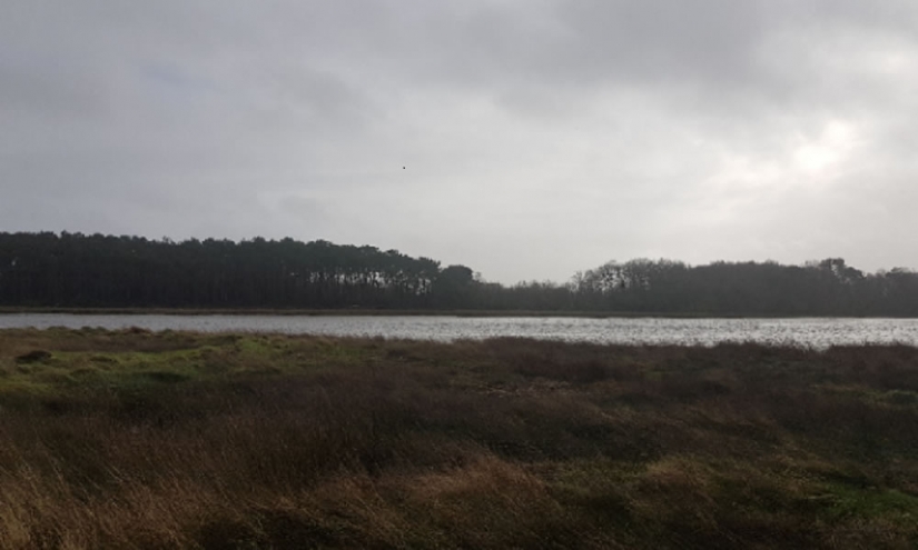 Janvier et février au FAM